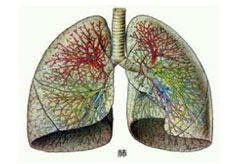 肺纤维化的治疗费用是多少